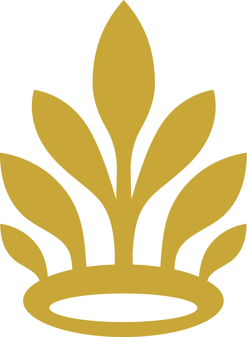 blog Icon